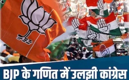 जिन्हें टिकट देने की सोच रही थी कांग्रेस, उन्हें ले उड़ी BJP, मालवा से मध्य भारत तक इन सीटों पर बने नए समीकरण