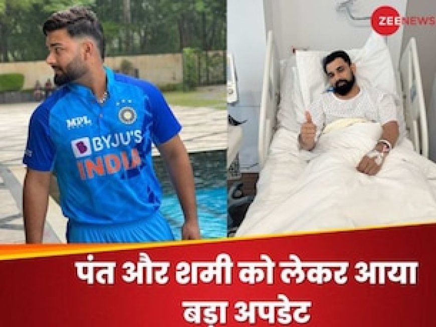 शमी टी20 वर्ल्ड कप से बाहर, क्या है ऋषभ पंत का अपडेट? जय शाह ने दी बड़ी जानकारी