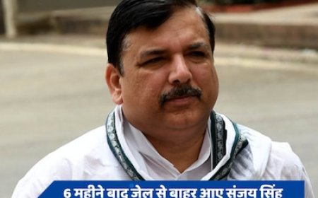 6 महीने बाद जेल से बाहर निकले आप सांसद संजय सिंह, जानें क्या बोले