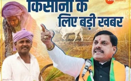 MP के किसानों के लिए बड़ी खबर, बारिश से फसलों के नुकसान की भरपाई करेगी मोहन सरकार!