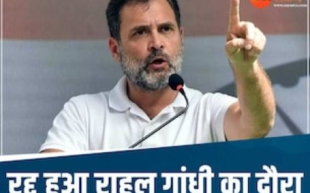 राहुल गांधी की तबीयत बिगड़ी, अचानक सतना दौरा रद्द, अब कांग्रेस अध्यक्ष मल्लिकार्जुन खड़गे ने संभाला मोर्चा