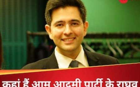 AAP के कई नेता जेल में, फिर भी चुनाव प्रचार क्यों नहीं कर रहे राघव चड्ढा?