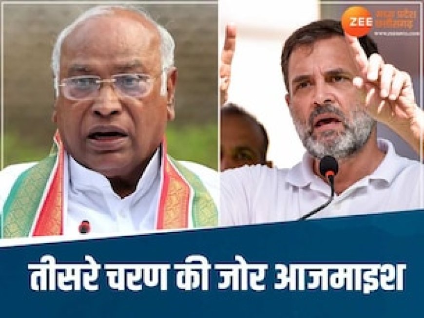 मैदान में उतरेंगे राहुल गांधी, छत्तीसगढ़ में आखिरी चरण का अभियान शुरू 7 मई को 7 सीटों पर होगी वोटिंग