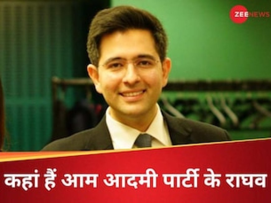 AAP के कई नेता जेल में, फिर भी चुनाव प्रचार क्यों नहीं कर रहे राघव चड्ढा?