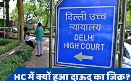 फिर तो दाऊद भी पार्टी बनाएगा, चुनाव लड़ेगा', किस बात पर भड़क गया Delhi हाई कोर्ट?