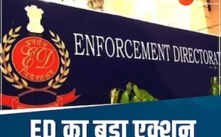 छत्तीसगढ़ शराब घोटाला मामले में ED का बड़ा एक्शन, 205 करोड़ से ज्यादा की संपत्ति सीज