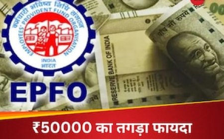 PF अकाउंट पर मिलता है ₹50000 का बोनस, तगड़े फायदा के लिए बस इतनी सी शर्त , जानिए क्या है EPFO का लॉयल्टी कम लाइफ बेनिफिट