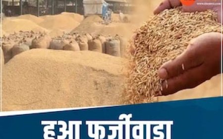 छत्तीसगढ़ में धान खरीदी में गड़बड़ झाला, करोड़ों का हेर- फेर, इनके खिलाफ दर्ज हुआ मामला