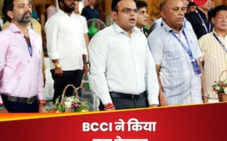 BCCI का बड़ा फैसला, IPL 2024 के रियल हीरोज की खोली किस्मत, इनाम का किया ऐलान