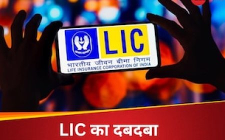 पाकिस्तान की GDP से डबल, 3 देश मिलकर भी नहीं कर सकते बराबरी...सबपर भारी LIC हमारी, जानिए कैसे?