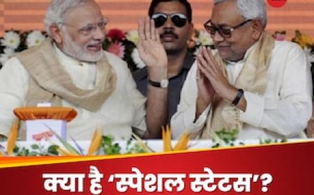 क्या होता है विशेष राज्य का दर्जा, तेजस्वी बोले किंगमेकर हैं तो फायदा उठाएं नीतीश