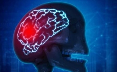 आंखों की रोशनी छीन सकता है ब्रेन ट्यूमर! जरा सी भी परेशानी को न करें नजरअंदाज