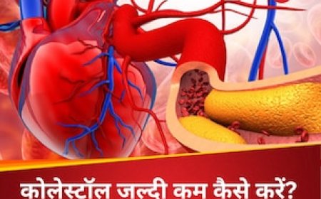 दिल को जाम करने वाले बैड कोलेस्ट्रॉल का रामबाण इलाज है ये ड्रिंक, पीने से साफ हो जाएगा धमनी में भरा गंदा फैट