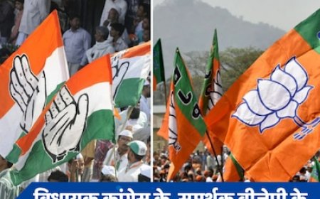 लोकसभा चुनाव में BJP का समर्थन करने वाले अपने विधायकों के खिलाफ कोर्ट जाएगी कांग्रेस, जानें पूरा मामला