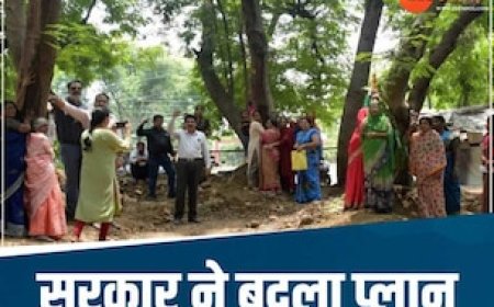 भोपाल में नहीं कटेंगे 29 हजार पेड़, कैलाश विजयवर्गीय ने दी बड़ी खबर, हो रहा था विरोध