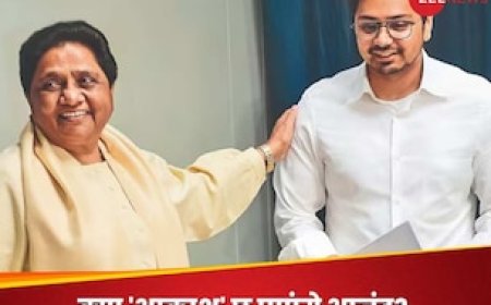 बिखरा वोटबैंक, हताश संगठन, क्या बीएसपी में नई जान फूंक पाएंगे आकाश, सामने हैं ये चुनौतियां