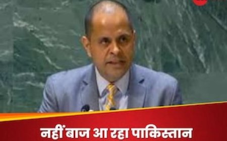 संयुक्त राष्ट्र में भारत के खिलाफ नैरेटिव सेट कर रहा था पाकिस्तान, भारत ने लगाई फटकार
