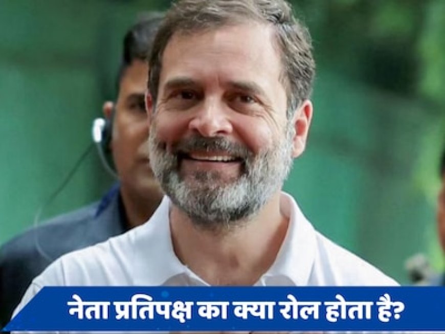 राहुल गांधी बन सकते हैं नेता प्रतिपक्ष, जानें इस पद पर रहने वाले के पास कितनी पावर होती है?