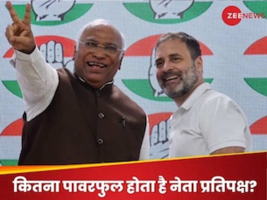 राहुल गांधी बनेंगे नेता प्रतिपक्ष? कैबिनेट मंत्री का होता है दर्जा; शक्तियां और सुविधाएं भी जान लीजिए