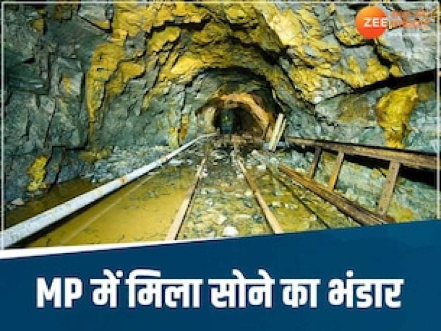 MP की धरती उगलेगी सोना, मिल गई बहुत बड़ी खदान, खुशी से 'पागल' हुआ गांव!