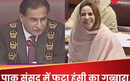 मेरी तरफ देखिए स्पीकर सर... मैं नहीं देखता' पाकिस्तानी संसद का दिलचस्प सीन वायरल है
