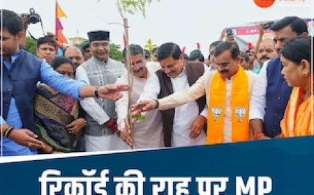 MP बनाने जा रहा इतिहास, आज से अभियान की शुरुआत, लगाए जाएंगे साढ़े 5 करोड़ पौधे