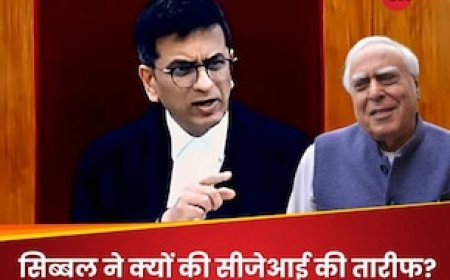 सीजेआई चंद्रचूड़ ने सुप्रीम कोर्ट में ऐसा क्या किया, कपिल सिब्बल बोल पड़े- बड़ी जल्दी में रहते हैं!