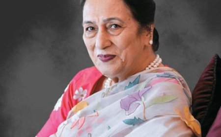 पाक छोड़कर भारत आईं, पेड़ के नीचे रहीं...अब चलाती हैं 8000 करोड़ रुपये की कंपनी, जानें- कौन हैं?