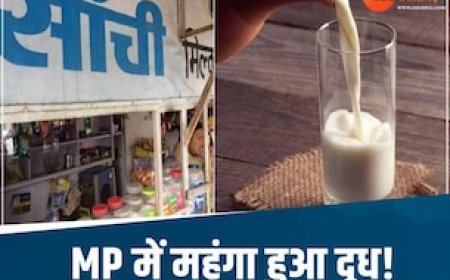 सब्जी के बाद दूध भी महंगा! सांची ने बढ़ाए रेट, जानिए अब प्रति लीटर कितने होंगे दाम