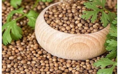 डायबिटीज को जड़ से उखाड़ फेंकेगा ये मसाला, कब और कैसे करें सेवन- जानें