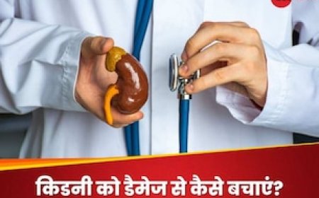 इन बुरी आदतों की वजह से किडनी हो सकती है फेल, आज ही इन पर लगा दें फुल स्टॉप