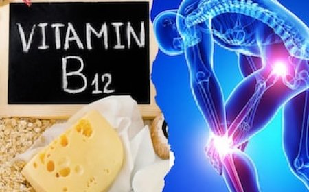 बॉडी में धड़ाधड़ बनने लगेगा Vitamin B12, डाइट में बस कर लें ये 5 आसान से बदलाव
