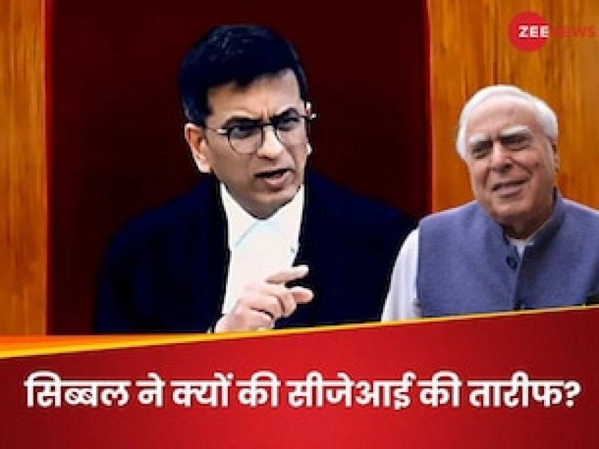 सीजेआई चंद्रचूड़ ने सुप्रीम कोर्ट में ऐसा क्या किया, कपिल सिब्बल बोल पड़े- बड़ी जल्दी में रहते हैं!
