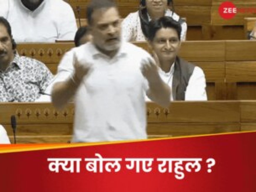 संसद में ऐसा क्या बोले राहुल गांधी कि वित्त मंत्री निर्मला सीतारमण ने पकड़ लिया माथा ?