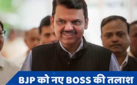 BJP के नए अध्यक्ष बन सकते हैं देवेंद्र फडणवीस, CV को मजबूत करती हैं ये 5 चीजें!