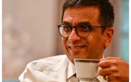 CJI डीवाई चंद्रचूड़ ने लिया शाकाहारी बनने का फैसला! फायदे जानकर आप भी छोड़ देंगे च‍िकन मटन