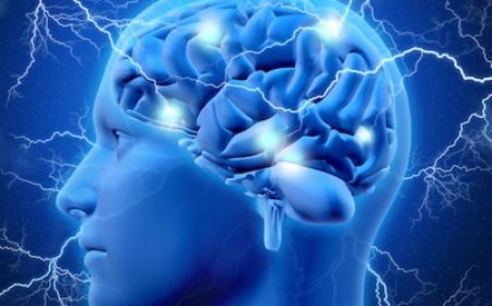 चमत्कार है ये औषधि! दिमाग की बत्ती कर देती है ऑन, पढ़ते ही सब हो जाएगा याद