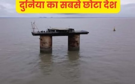 दो खंभों पर टिका है दुनिया का सबसे छोटा 'देश', समंदर में चलती है खुद की करंसी और सरकार