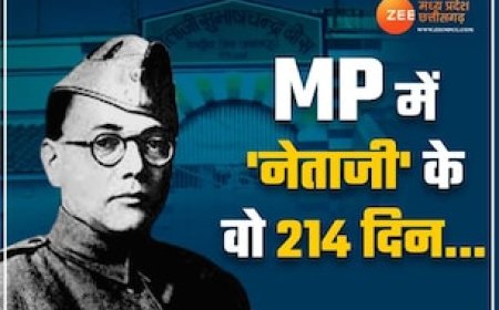 MP की 'संस्कारधानी' से नेताजी सुभाष चंद्र बोस का है गहरा नाता, वो 214 दिन थे आजादी के लिए बेहद अहम