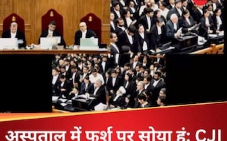 150 ग्राम सीमेन... सुनते ही चीफ जस्टिस नाराज, कोलकाता रेप-मर्डर केस पर सुप्रीम कोर्ट में तीखी बहस