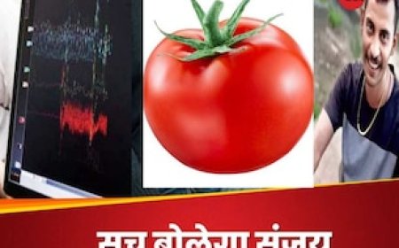 क्या टमाटर का रंग लाल होता है? पॉलीग्राफ में कोलकाता रेप के गुनहगार से CBI ने पूछे ये 20 सवाल