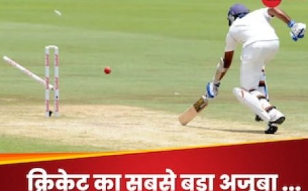 क्रिकेट का सबसे बड़ा अजूबा, पूरे करियर में कभी भी RUN OUT नहीं हुए ये 5 स्टार खिलाड़ी
