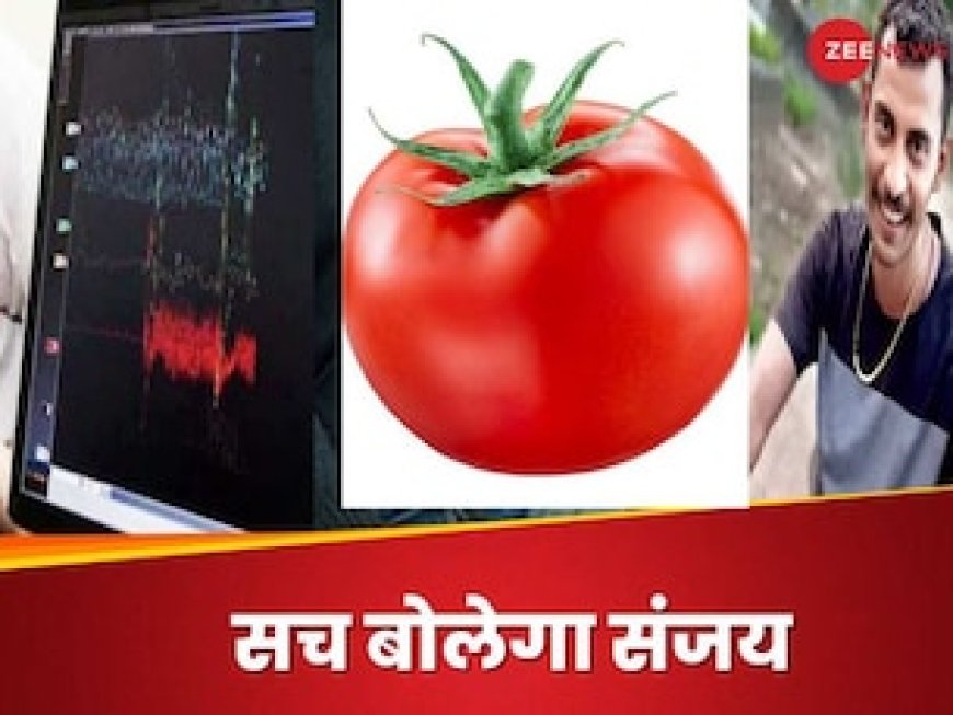 क्या टमाटर का रंग लाल होता है? पॉलीग्राफ में कोलकाता रेप के गुनहगार से CBI ने पूछे ये 20 सवाल