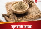 मुलेठी के एंटी वायरल गुण का उठाएं फायदा, सर्दी-खांसी और जुकाम का होगा काम तमाम