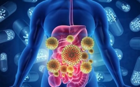 क्या आपके बॉडी में टॉक्सिन है? इन 5 लक्षणों के दिखते समझ जाए अंगों को सफाई की जरूरत, पीना शुरू कर दें ये 4 ड्रिंक्स