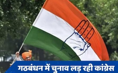 जम्मू-कश्मीर इलेक्शन: कांग्रेस ने जारी की दूसरी लिस्ट, जानें प्रदेश अध्यक्ष को किस सीट से उतारा