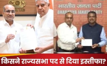 जिस पार्टी ने राज्यसभा भेजा, उसी से की गद्दारी', निष्कासित सदस्य ने BJP का तुरंत थामा दामन, जानें क्या है उनका नाम