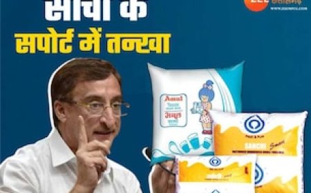 क्या अमूल हो जाएगा सांची का दूध? टेकओवर की अटकलें, विरोध में उतरे कांग्रेस सांसद