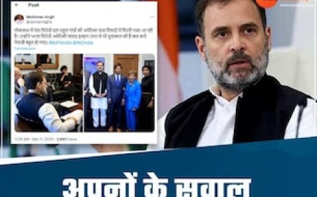 अपनों के निशाने पर राहुल गांधी, अमेरिका यात्रा पर सवाल, 'बस करो नेताजी बहुत हो गया'