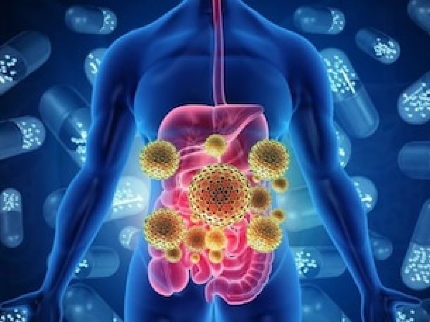 क्या आपके बॉडी में टॉक्सिन है? इन 5 लक्षणों के दिखते समझ जाए अंगों को सफाई की जरूरत, पीना शुरू कर दें ये 4 ड्रिंक्स